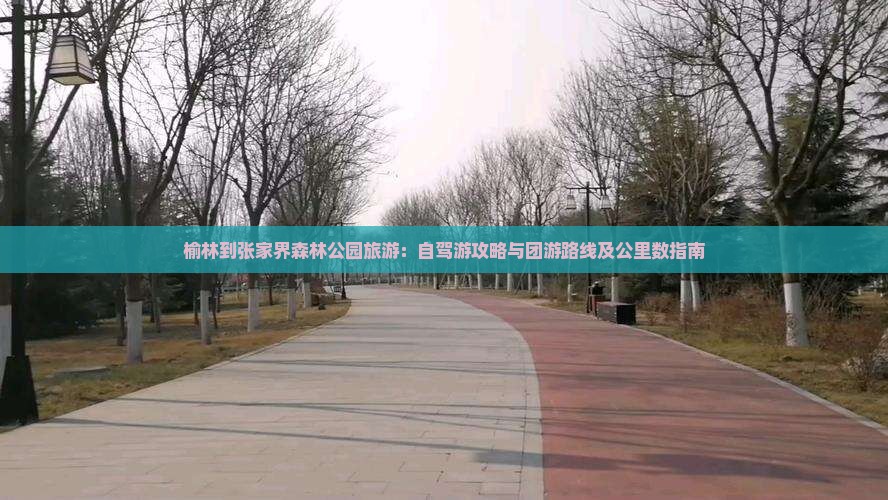 榆林到张家界森林公园旅游：自驾游攻略与团游路线及公里数指南