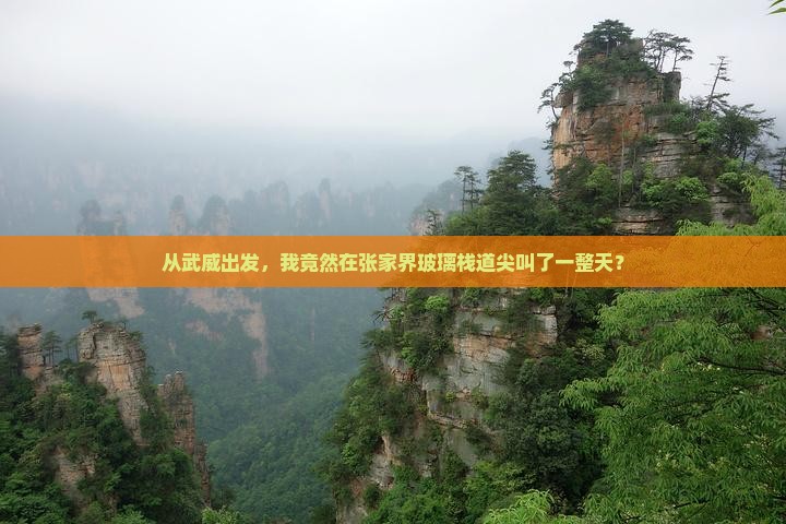 从武威出发，我竟然在张家界玻璃栈道尖叫了一整天？