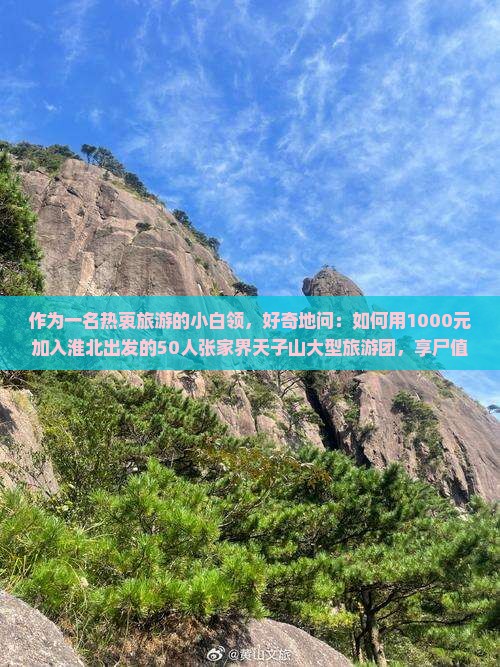 作为一名热衷旅游的小白领，好奇地问：如何用1000元加入淮北出发的50人张家界天子山大型旅游团，享尸值旅程？