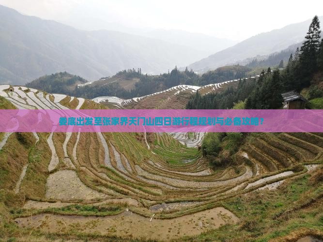 娄底出发至张家界天门山四日游行程规划与必备攻略？
