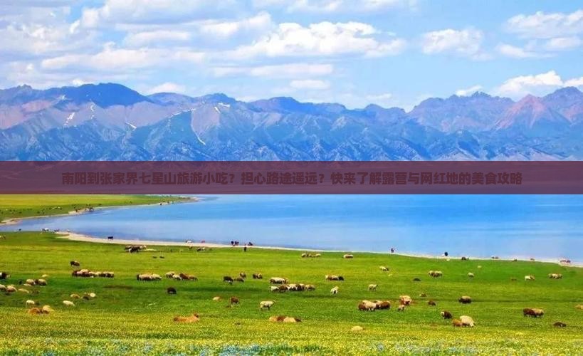 南阳到张家界七星山旅游小吃？担心路途遥远？快来了解露营与网红地的美食攻略