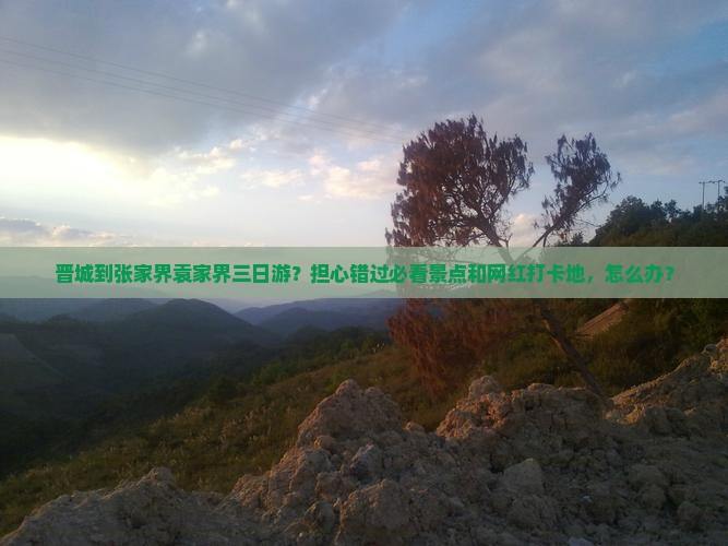 晋城到张家界袁家界三日游？担心错过必看景点和网红打卡地，怎么办？