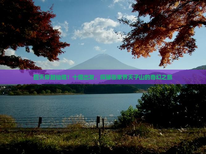 四天穿越仙境！十堰出发，探秘张家界天子山的奇幻之旅