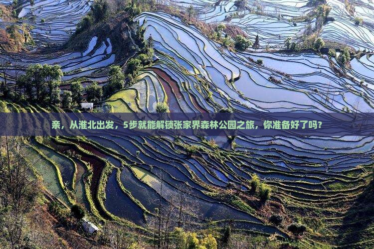 亲，从淮北出发，5步就能解锁张家界森林公园之旅，你准备好了吗？