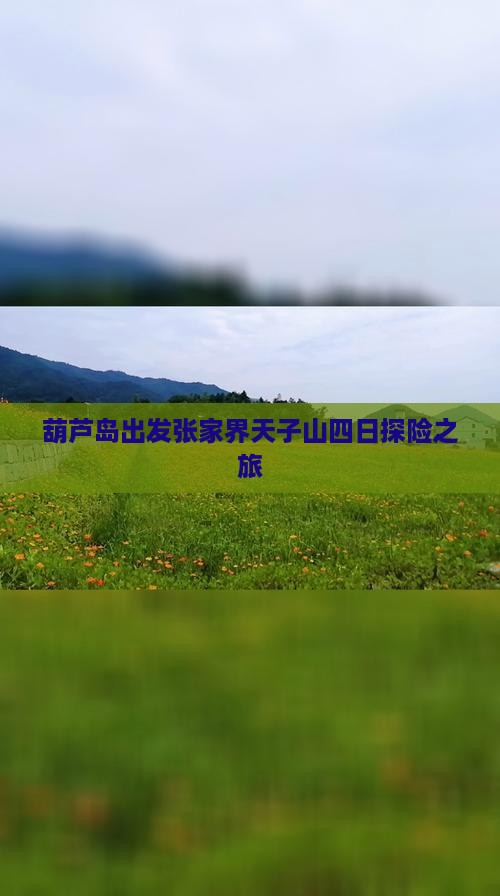 葫芦岛出发张家界天子山四日探险之旅