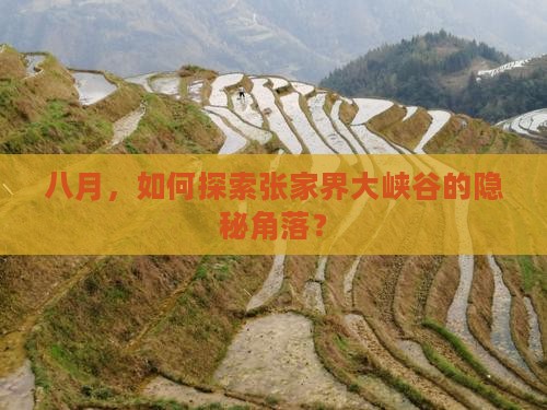八月，如何探索张家界大峡谷的隐秘角落？