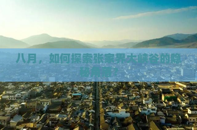 八月，如何探索张家界大峡谷的隐秘角落？