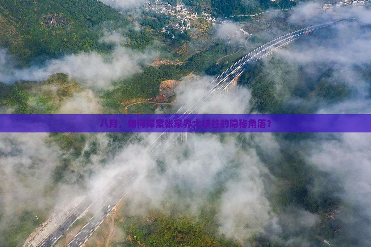 八月，如何探索张家界大峡谷的隐秘角落？