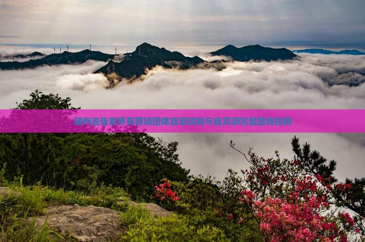 随州去张家界芙蓉镇团体旅游攻略与自驾游完整路线指南