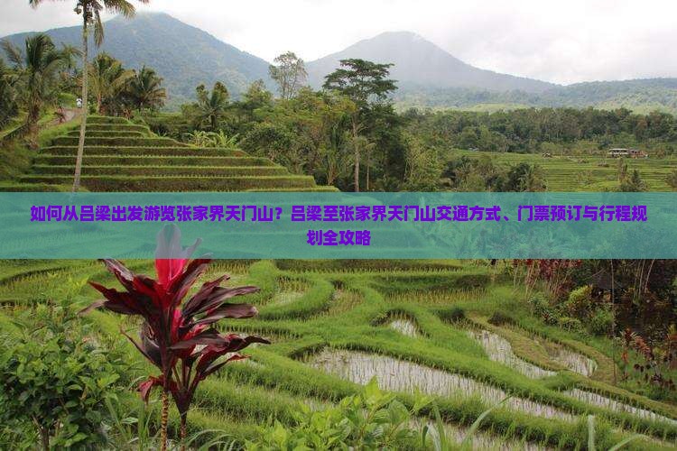如何从吕梁出发游览张家界天门山？吕梁至张家界天门山交通方式、门票预订与行程规划全攻略