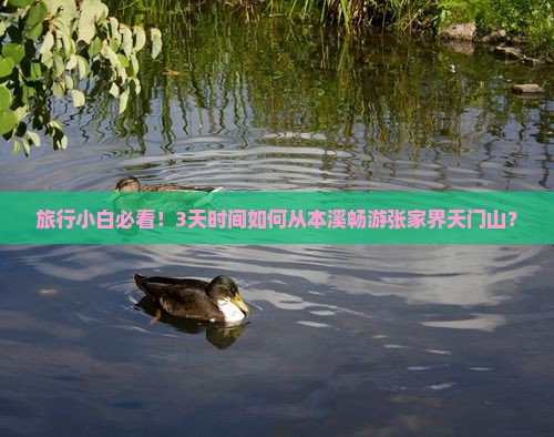 旅行小白必看！3天时间如何从本溪畅游张家界天门山？