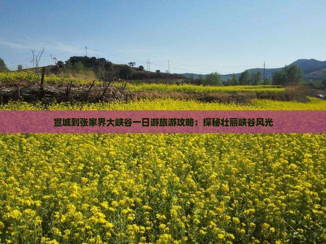 宣城到张家界大峡谷一日游旅游攻略：探秘壮丽峡谷风光
