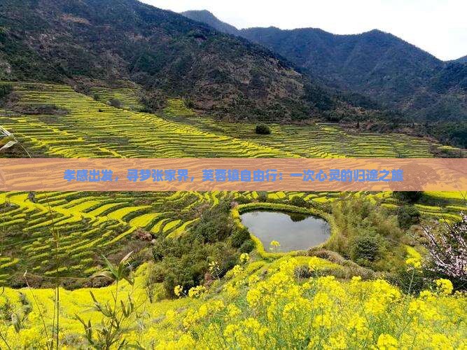 孝感出发，寻梦张家界，芙蓉镇自由行：一次心灵的归途之旅