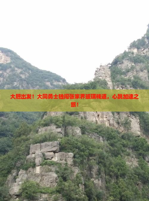 大胆出发！大同勇士独闯张家界玻璃栈道，心跳加速之旅！