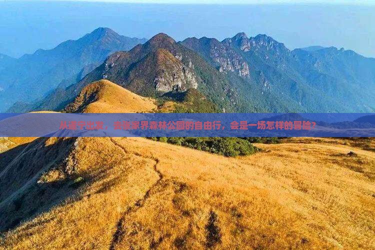 从遂宁出发，去张家界森林公园的自由行，会是一场怎样的冒险？