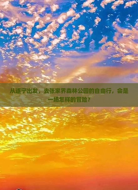 从遂宁出发，去张家界森林公园的自由行，会是一场怎样的冒险？