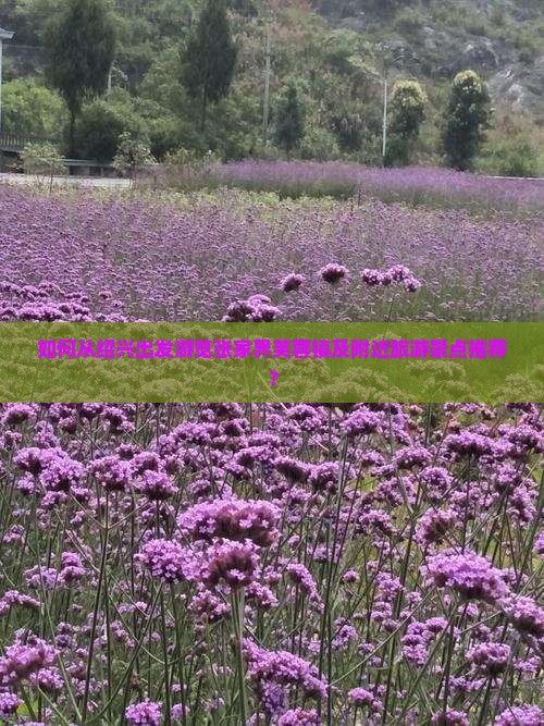 如何从绍兴出发游览张家界芙蓉镇及附近旅游景点推荐？