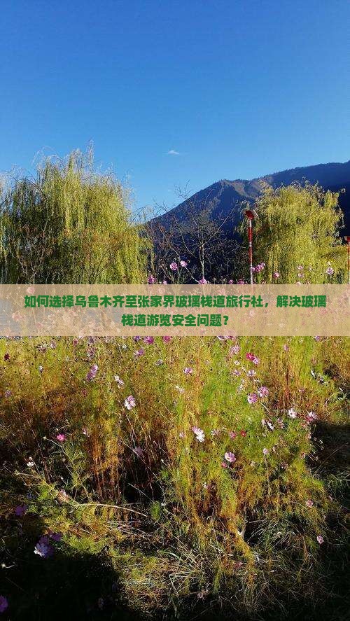 如何选择乌鲁木齐至张家界玻璃栈道旅行社，解决玻璃栈道游览安全问题？