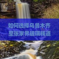 如何选择乌鲁木齐至张家界玻璃栈道旅行社，解决玻璃栈道游览安全问题？