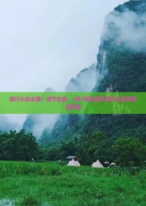 旅行小白必看！遂宁出发，4天3夜张家界森林公园深度游攻略