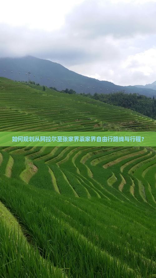 如何规划从阿拉尔至张家界袁家界自由行路线与行程？