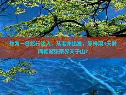 作为一名旅行达人，从潮州出发，怎样用3天时间畅游张家界天子山？