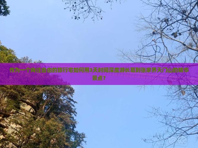 作为一个向往自由的旅行宅如何用3天时间深度游长葛到张家界天门山的精华景点？