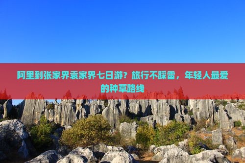 阿里到张家界袁家界七日游？旅行不踩雷，年轻人最爱的种草路线