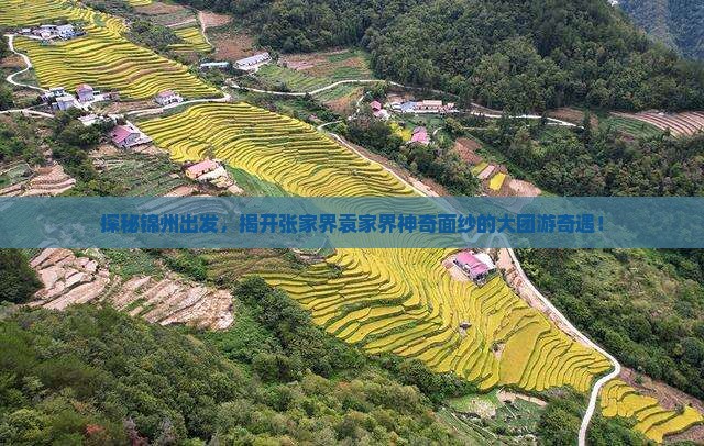 探秘锦州出发，揭开张家界袁家界神奇面纱的大团游奇遇！