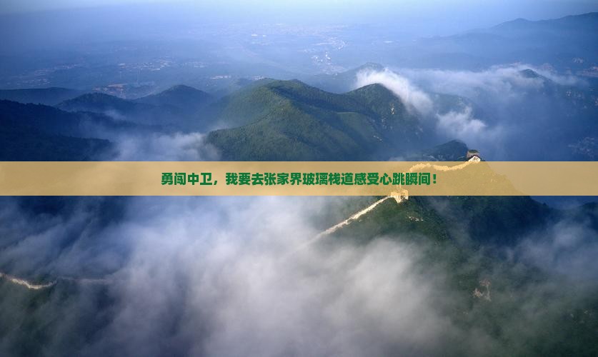 勇闯中卫，我要去张家界玻璃栈道感受心跳瞬间！
