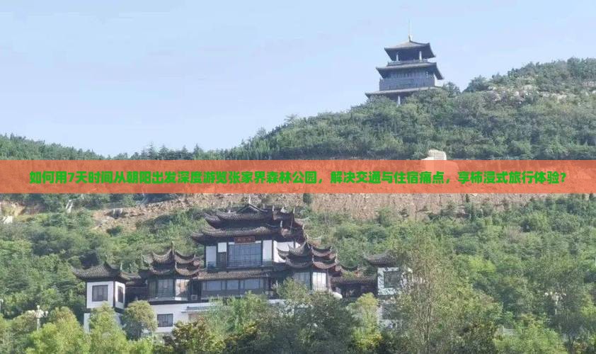 如何用7天时间从朝阳出发深度游览张家界森林公园，解决交通与住宿痛点，享柿浸式旅行体验？