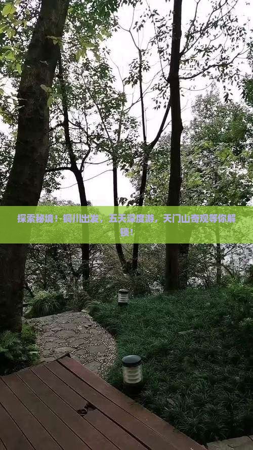 探索秘境！铜川出发，五天深度游，天门山奇观等你解锁！