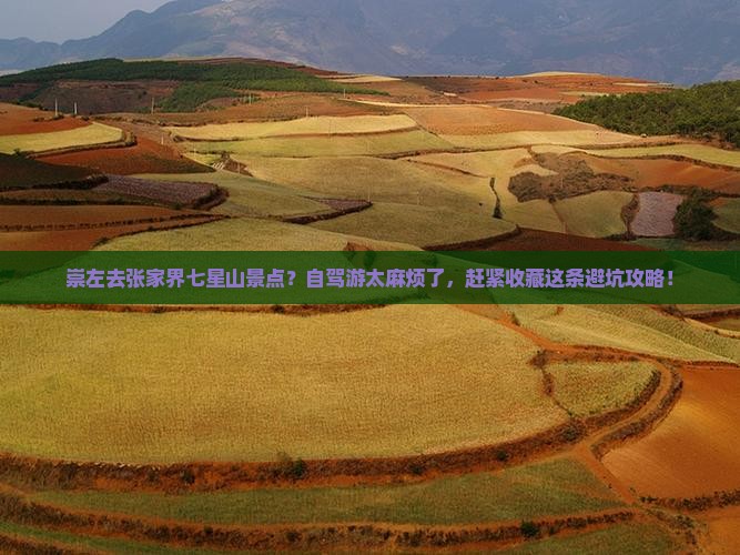崇左去张家界七星山景点？自驾游太麻烦了，赶紧收藏这条避坑攻略！