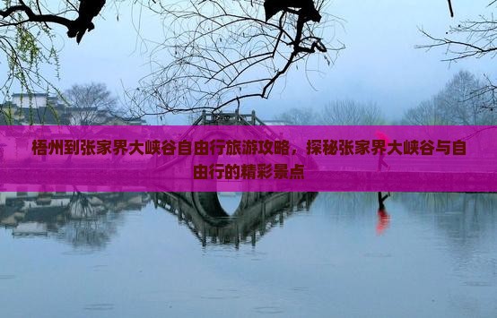梧州到张家界大峡谷自由行旅游攻略，探秘张家界大峡谷与自由行的精彩景点