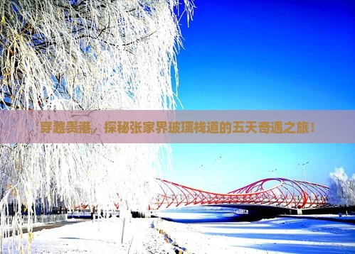 穿越贵港，探秘张家界玻璃栈道的五天奇遇之旅！