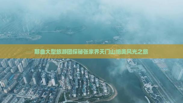 那曲大型旅游团探秘张家界天门山绝美风光之旅