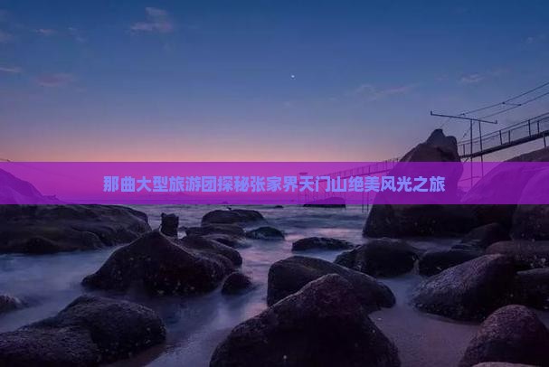 那曲大型旅游团探秘张家界天门山绝美风光之旅