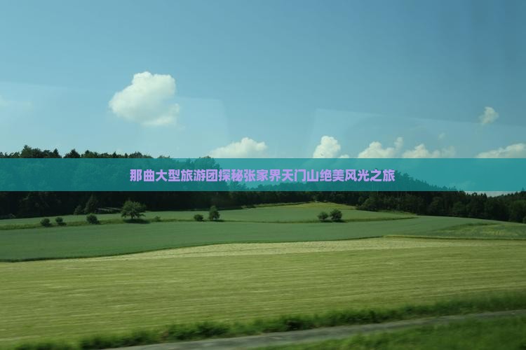 那曲大型旅游团探秘张家界天门山绝美风光之旅