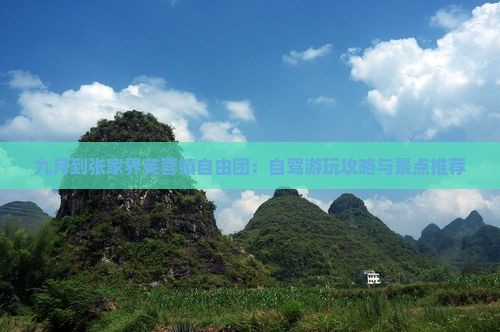 九月到张家界芙蓉镇自由团：自驾游玩攻略与景点推荐