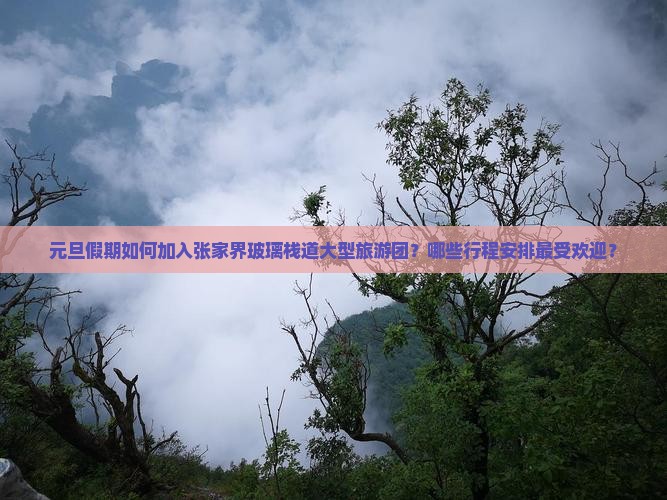 元旦假期如何加入张家界玻璃栈道大型旅游团？哪些行程安排最受欢迎？