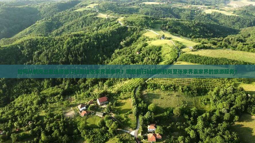 如何从鹤岗出发选择旅行社前往张家界袁家界？哪些旅行社提供鹤岗至张家界袁家界的旅游服务？
