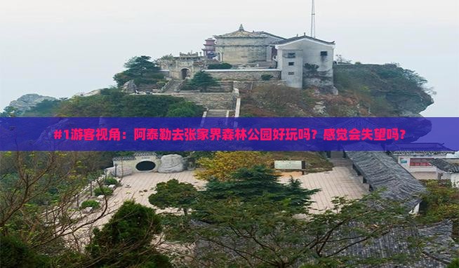 #1游客视角：阿泰勒去张家界森林公园好玩吗？感觉会失望吗？