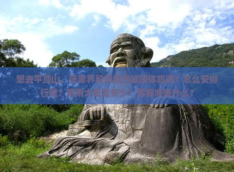 想去平顶山、张家界和凤凰古城团体旅游？怎么安排行程？费用大概是多少？需要准备什么？