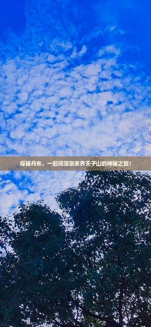 探秘丹东，一起闯荡张家界天子山的神秘之旅！