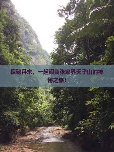 探秘丹东，一起闯荡张家界天子山的神秘之旅！