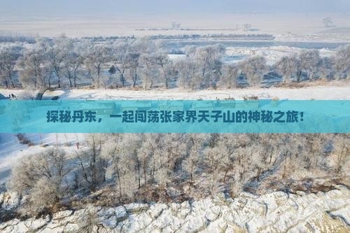 探秘丹东，一起闯荡张家界天子山的神秘之旅！