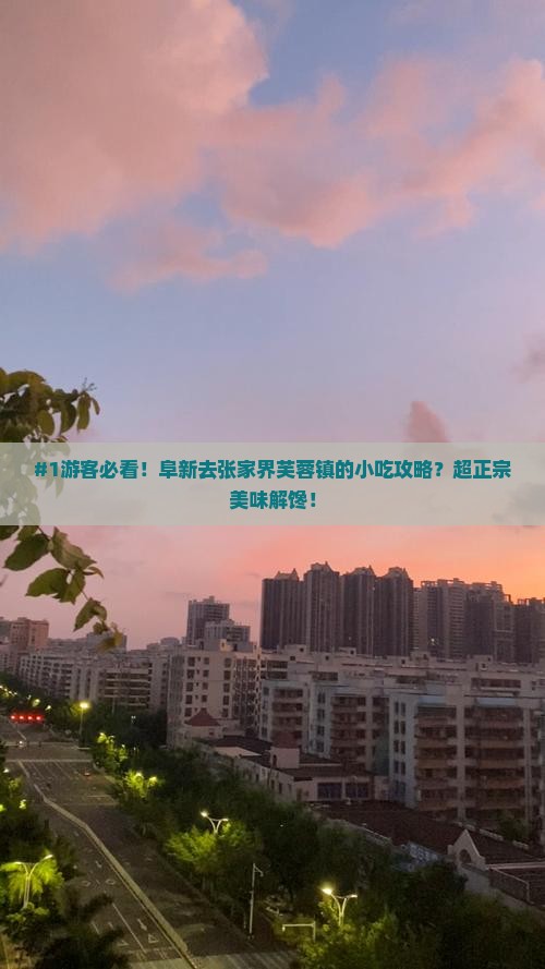 #1游客必看！阜新去张家界芙蓉镇的小吃攻略？超正宗美味解馋！