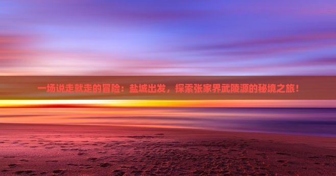 一场说走就走的冒险：盐城出发，探索张家界武陵源的秘境之旅！