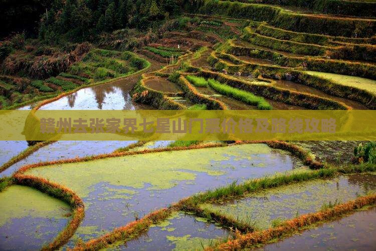 赣州去张家界七星山门票价格及路线攻略