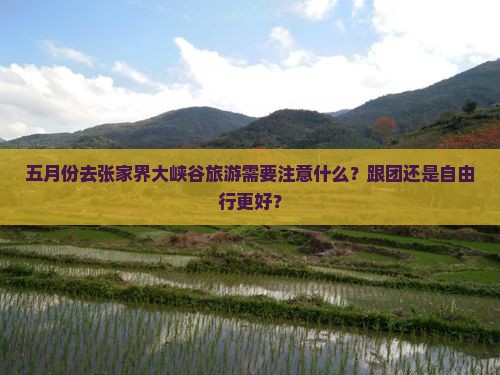 五月份去张家界大峡谷旅游需要注意什么？跟团还是自由行更好？